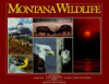 Montana_wildlife
